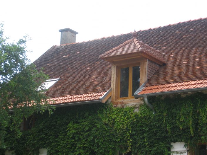 FENETRE DE TOIT CHIEN ASSIS